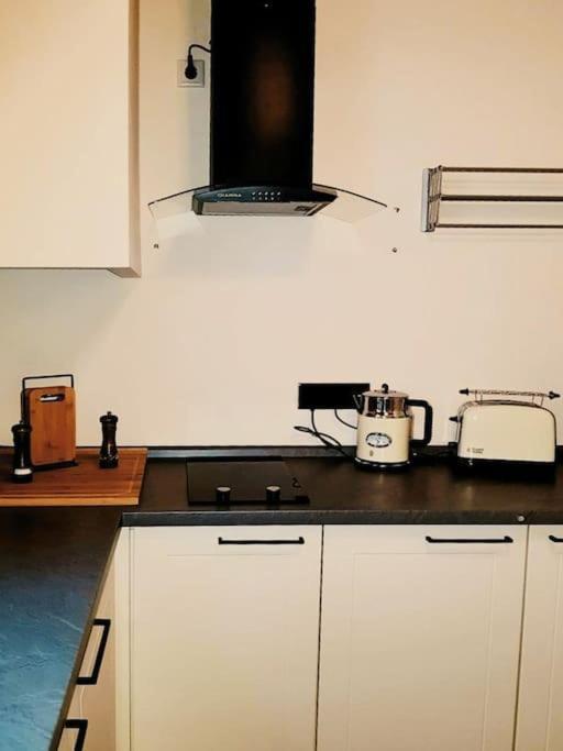 Komfortables Apartment Im Zentrum Erfurts מראה חיצוני תמונה