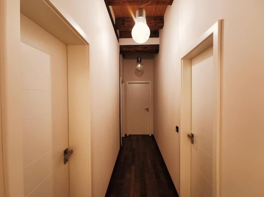 Komfortables Apartment Im Zentrum Erfurts מראה חיצוני תמונה