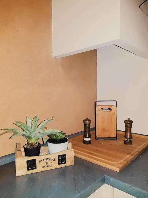 Komfortables Apartment Im Zentrum Erfurts מראה חיצוני תמונה